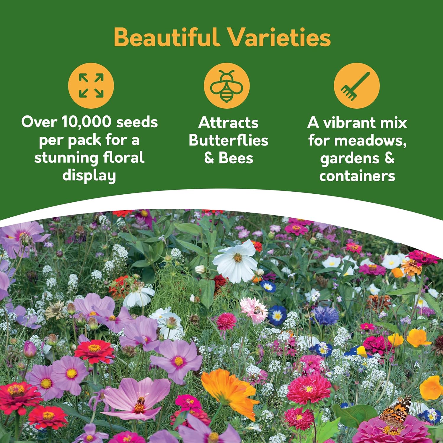 Cottage Garden Wildflower Seed Shaker – Covers 25m² Cottage Garden Wildflower Seed Shaker – Covers 25m²