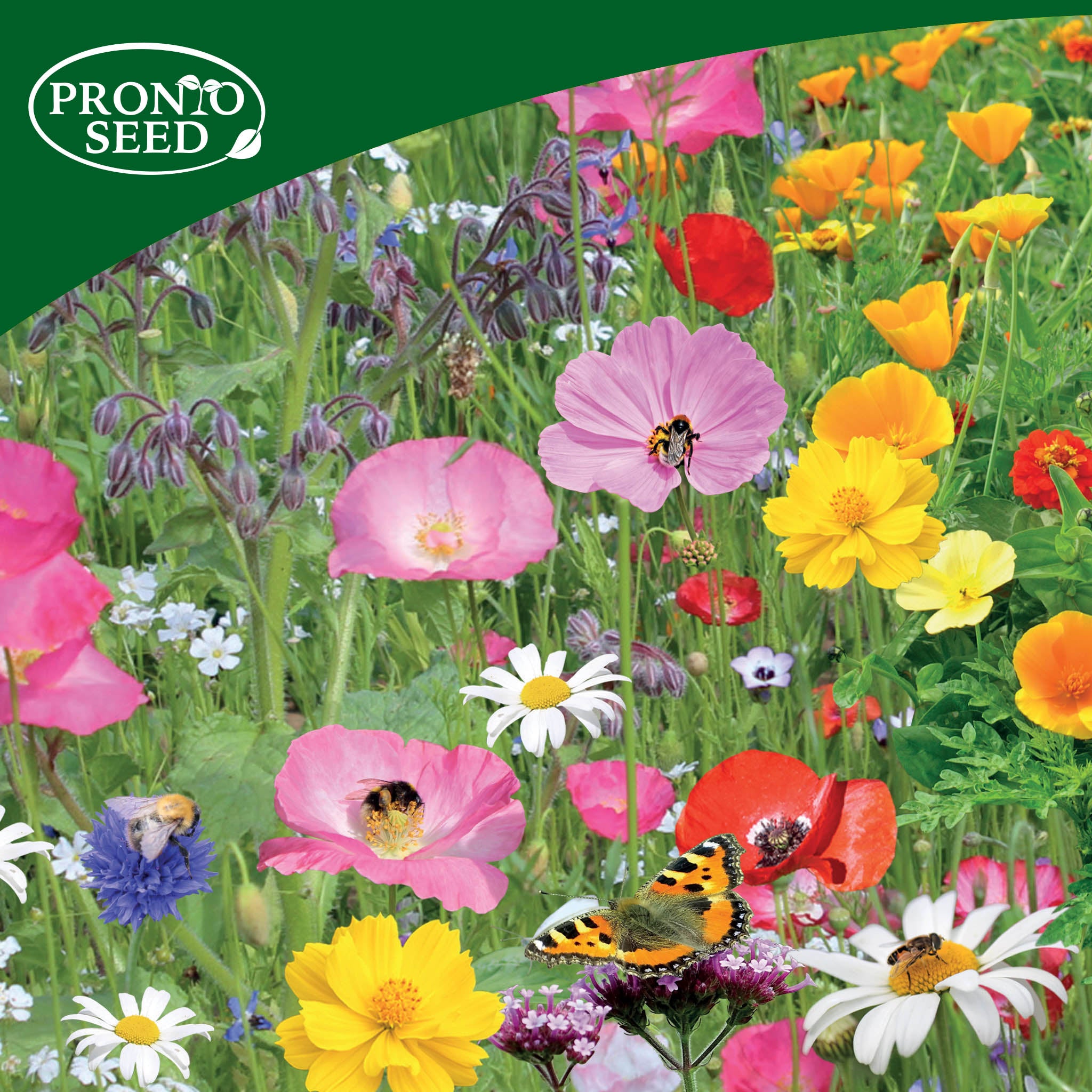 Wildflower Seed Shaker Trio – 3 Collections, 3 x 25m² Coverage Wildflower Seed Shaker Trio – 3 Collections, 3 x 25m² Coverage