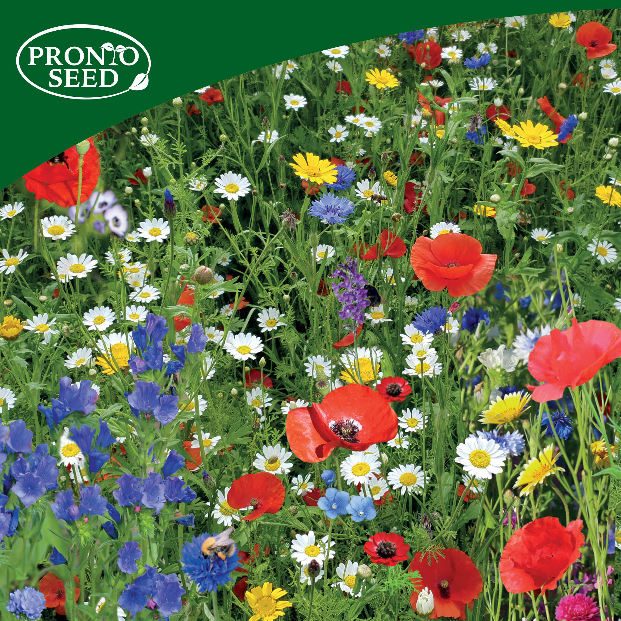 Wildflower Seed Shaker Trio – 3 Collections, 3 x 25m² Coverage Wildflower Seed Shaker Trio – 3 Collections, 3 x 25m² Coverage