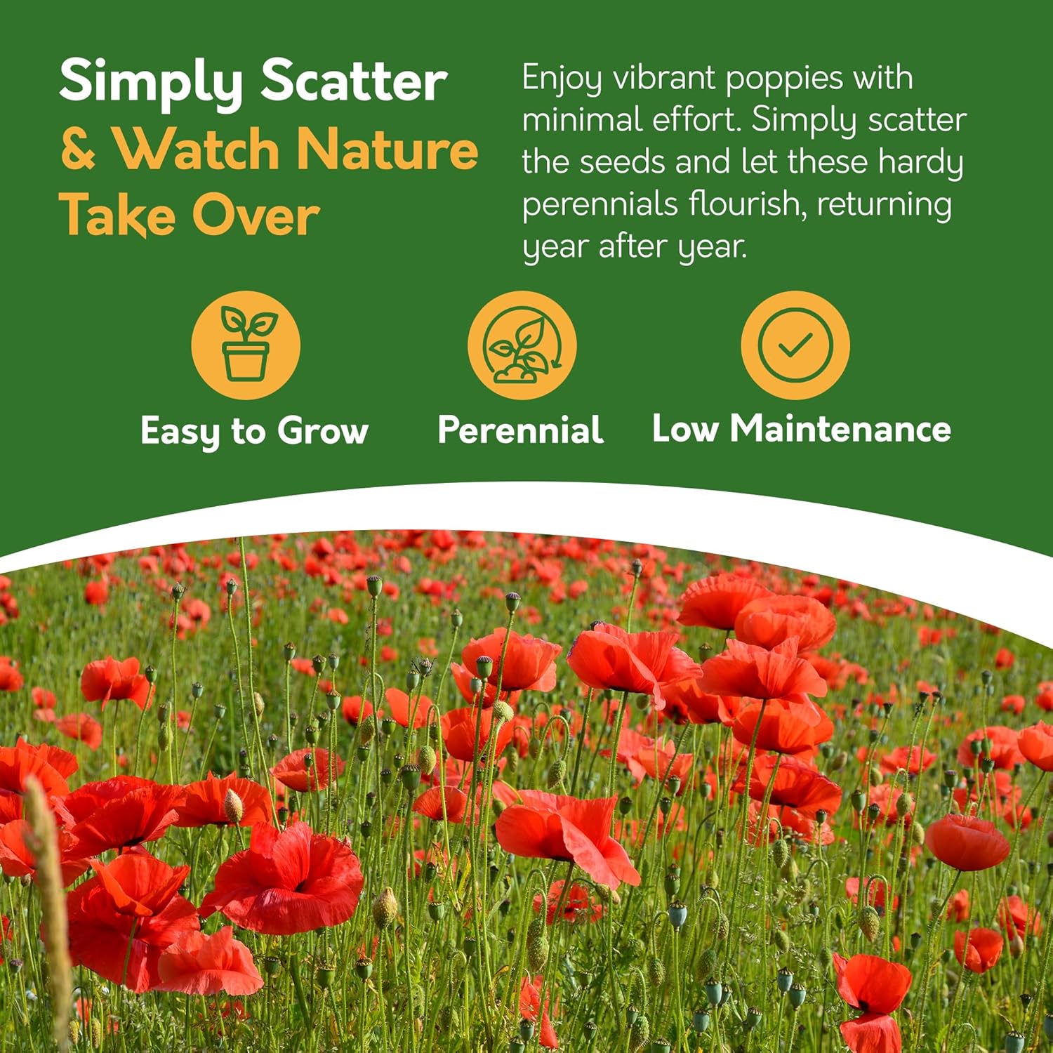 Field Poppy Seed Pack – 10g | Easy Grow Wildflower for Pollinators Field Poppy Seed Pack – 10g | Easy Grow Wildflower for Pollinators