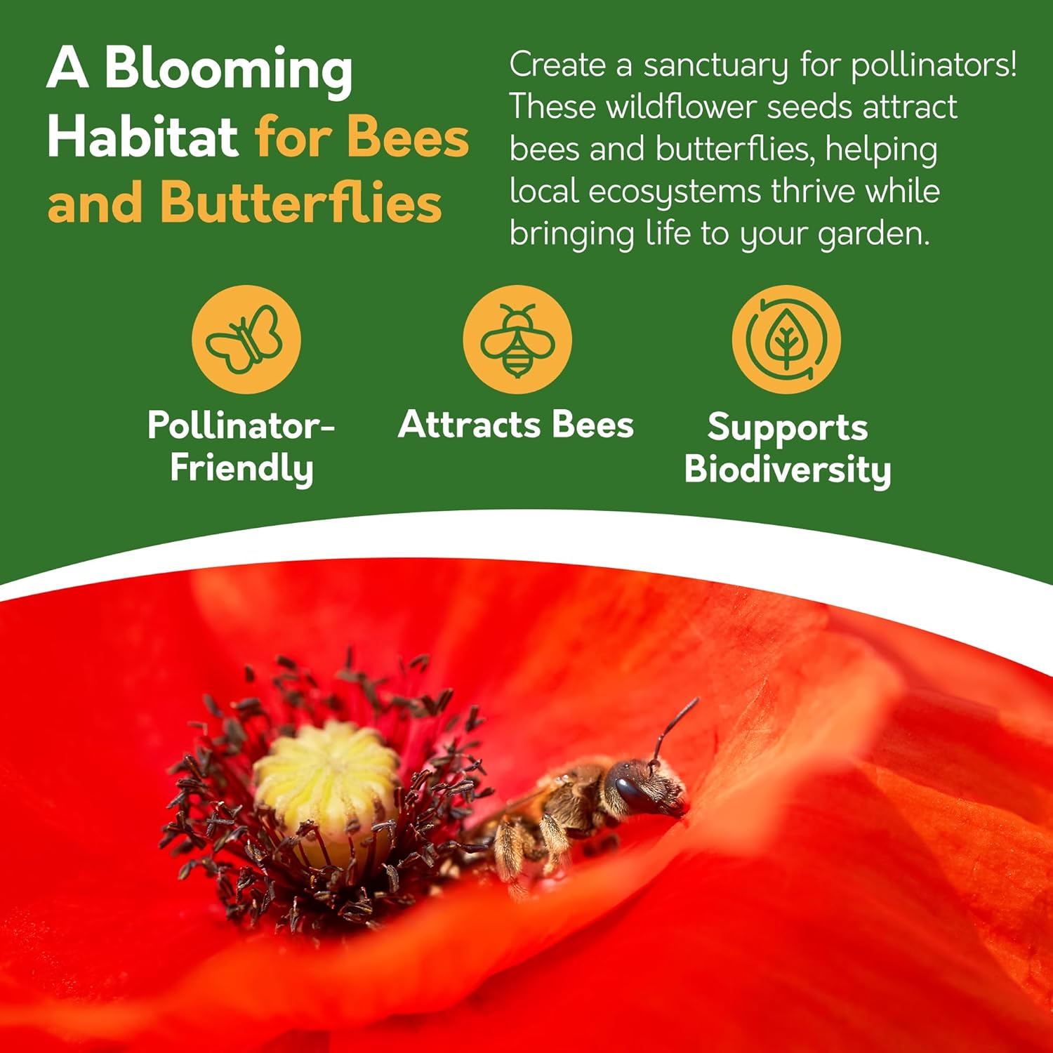 Field Poppy Seed Pack – 10g | Easy Grow Wildflower for Pollinators Field Poppy Seed Pack – 10g | Easy Grow Wildflower for Pollinators