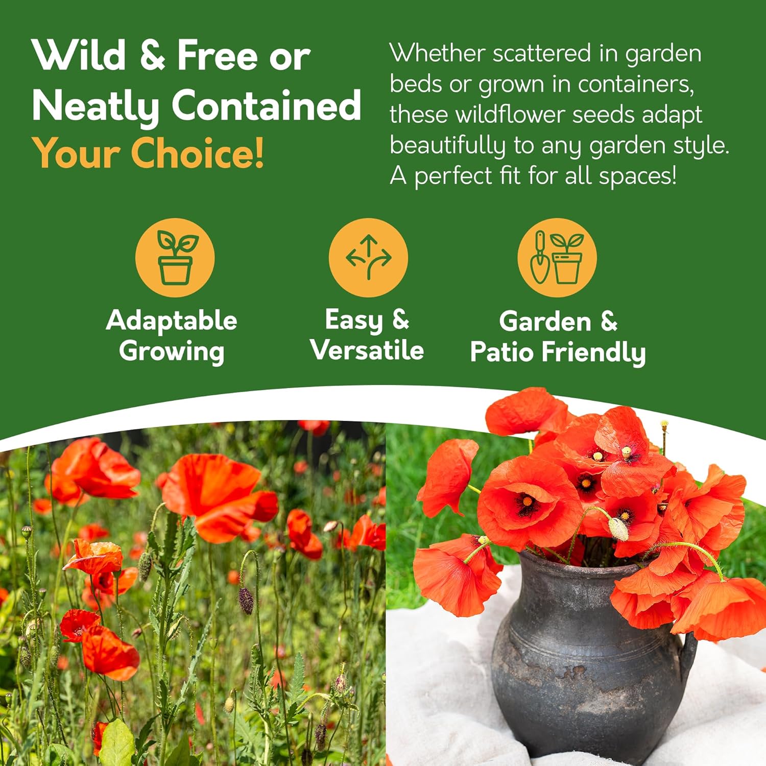 Field Poppy Seed Pack – 10g | Easy Grow Wildflower for Pollinators Field Poppy Seed Pack – 10g | Easy Grow Wildflower for Pollinators
