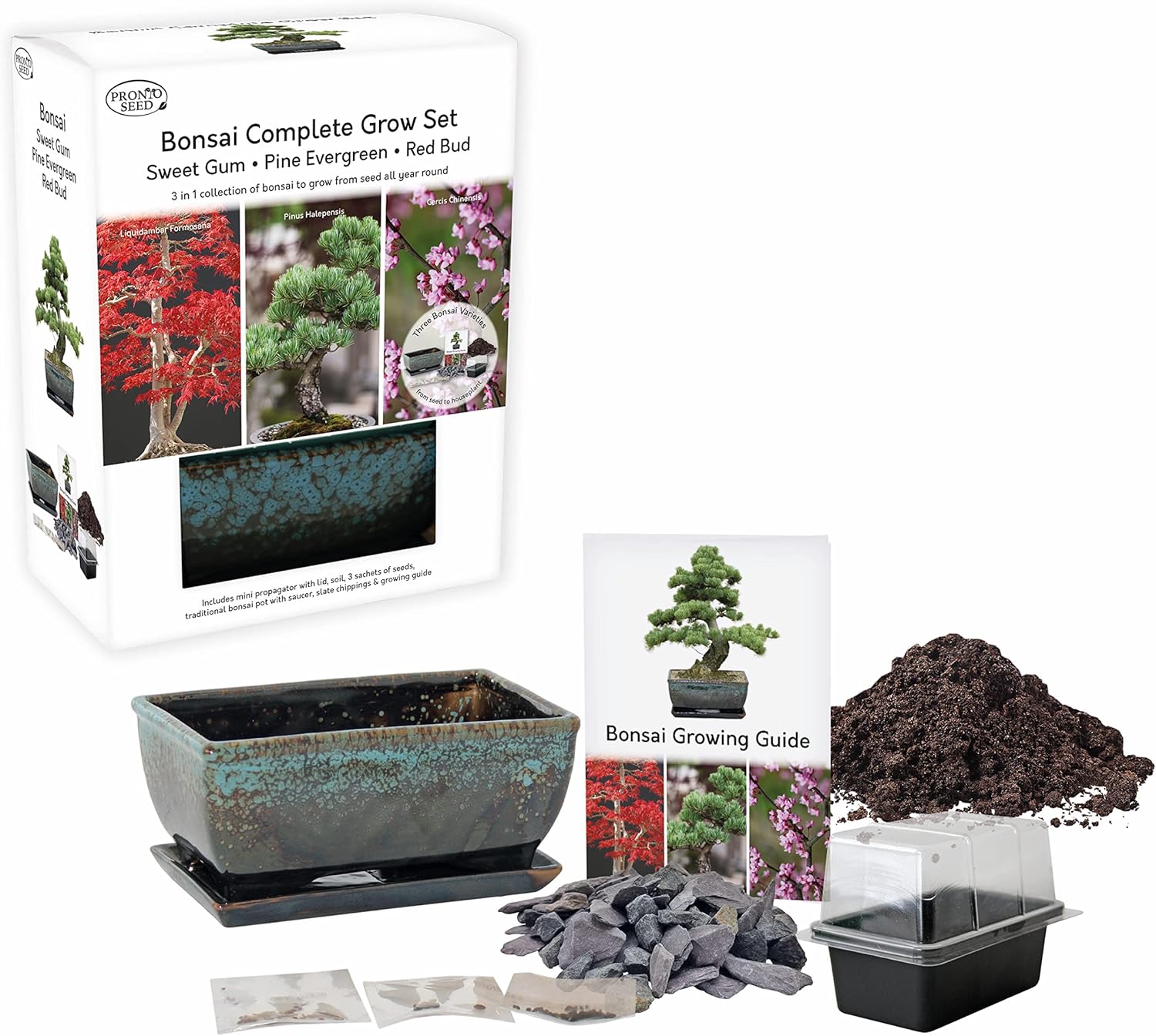 Grow Your Own Bonsai Tree Kit – Redbud, Pine & Sweetgum Grow Your Own Bonsai Tree Kit – Redbud, Pine & Sweetgum