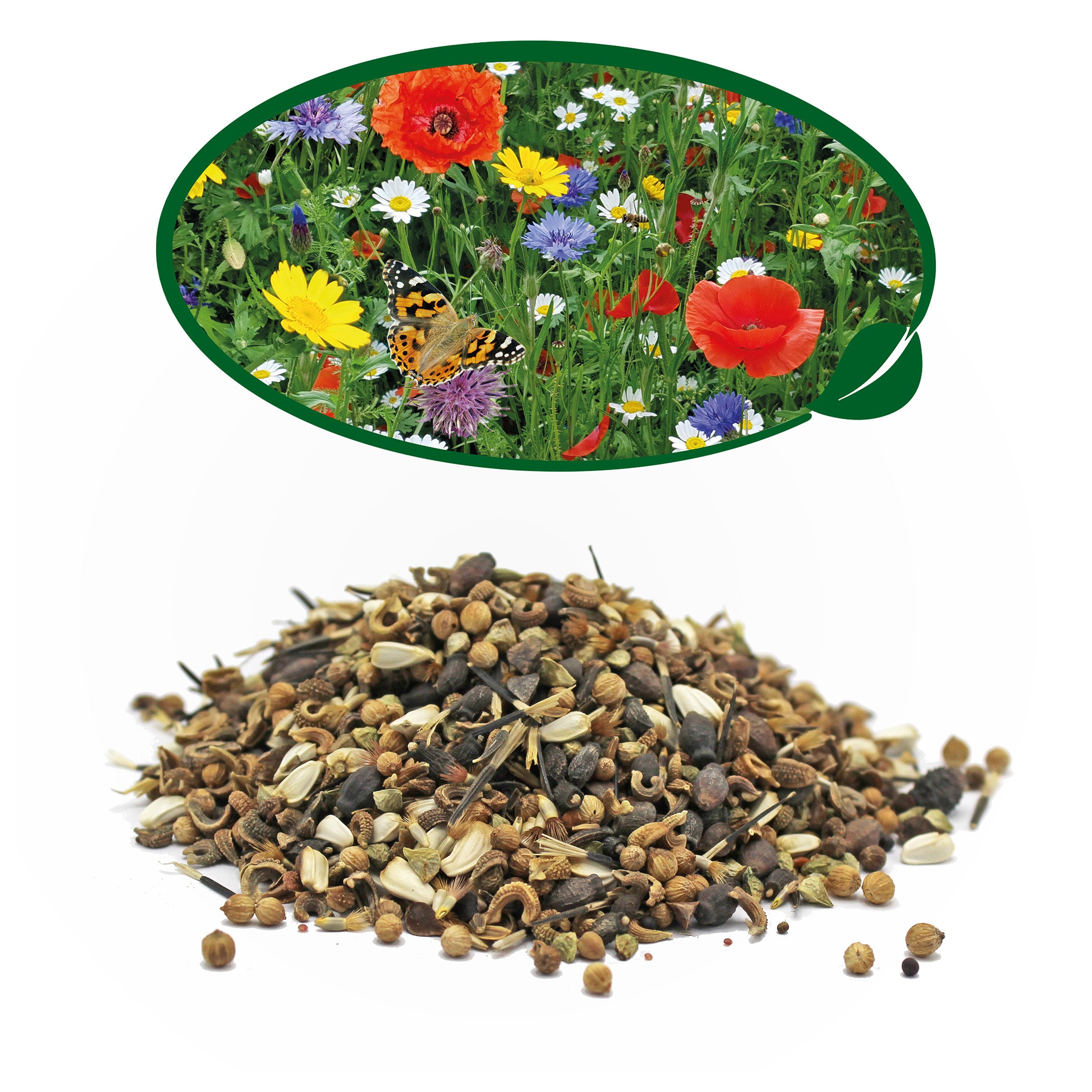 Wildflower Seed Mix – 100g | Pure UK Native Flower Seeds Wildflower Seed Mix – 100g | Pure UK Native Flower Seeds
