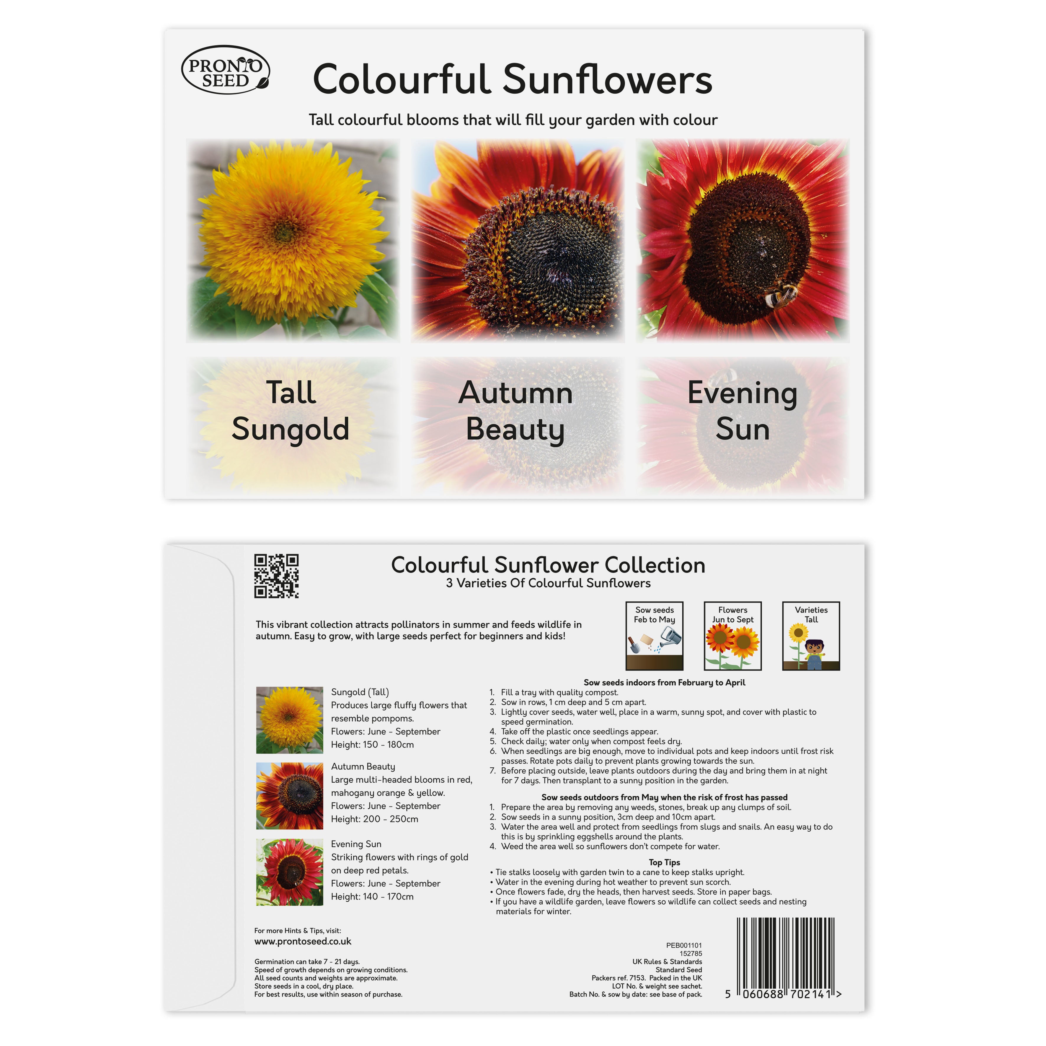 Sunflower Seeds – 6 Varieties for Gardens & Pots Sunflower Seeds – 6 Varieties for Gardens & Pots