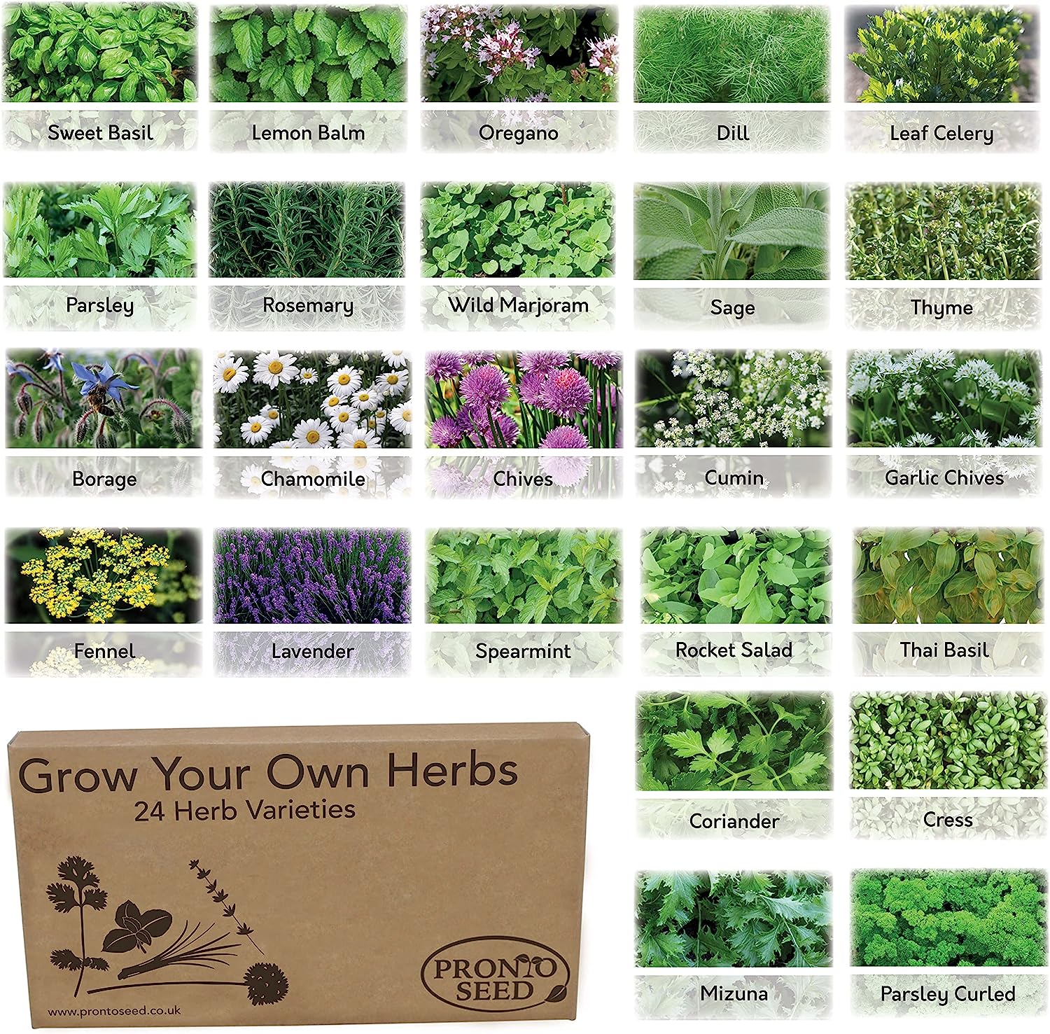 Herb Seeds – 24 Varieties, 2,900+ Seeds Herb Seeds – 24 Varieties, 2,900+ Seeds