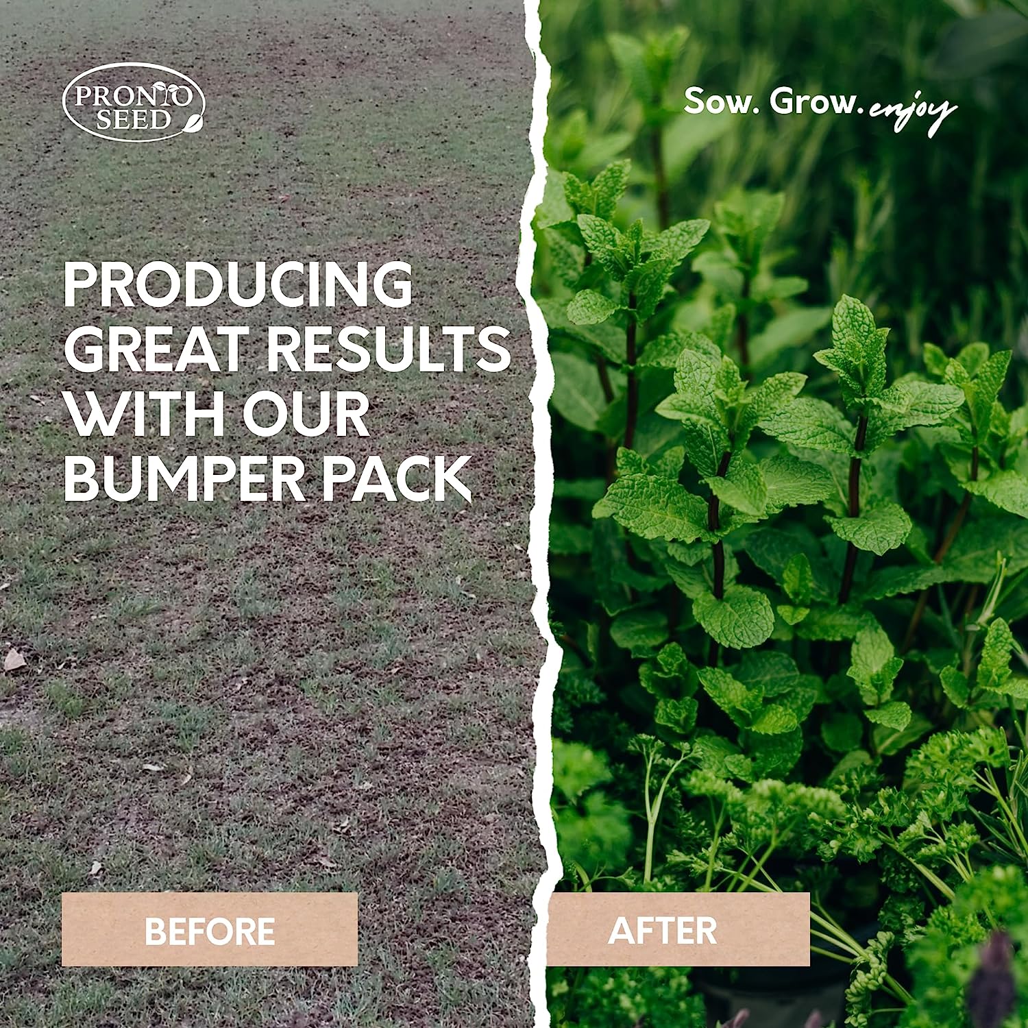 Herb Seeds – 24 Varieties, 2,900+ Seeds Herb Seeds – 24 Varieties, 2,900+ Seeds