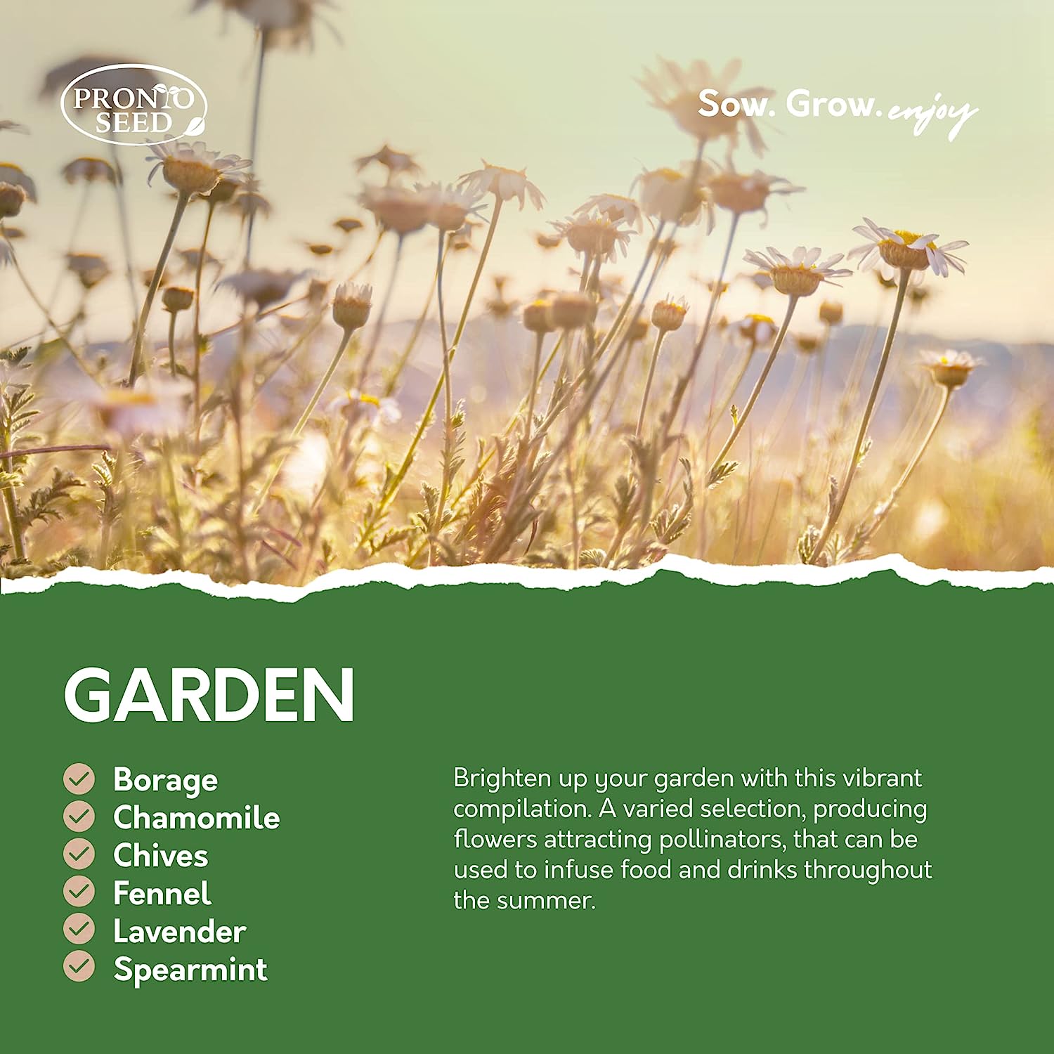 Herb Seeds – 24 Varieties, 2,900+ Seeds Herb Seeds – 24 Varieties, 2,900+ Seeds