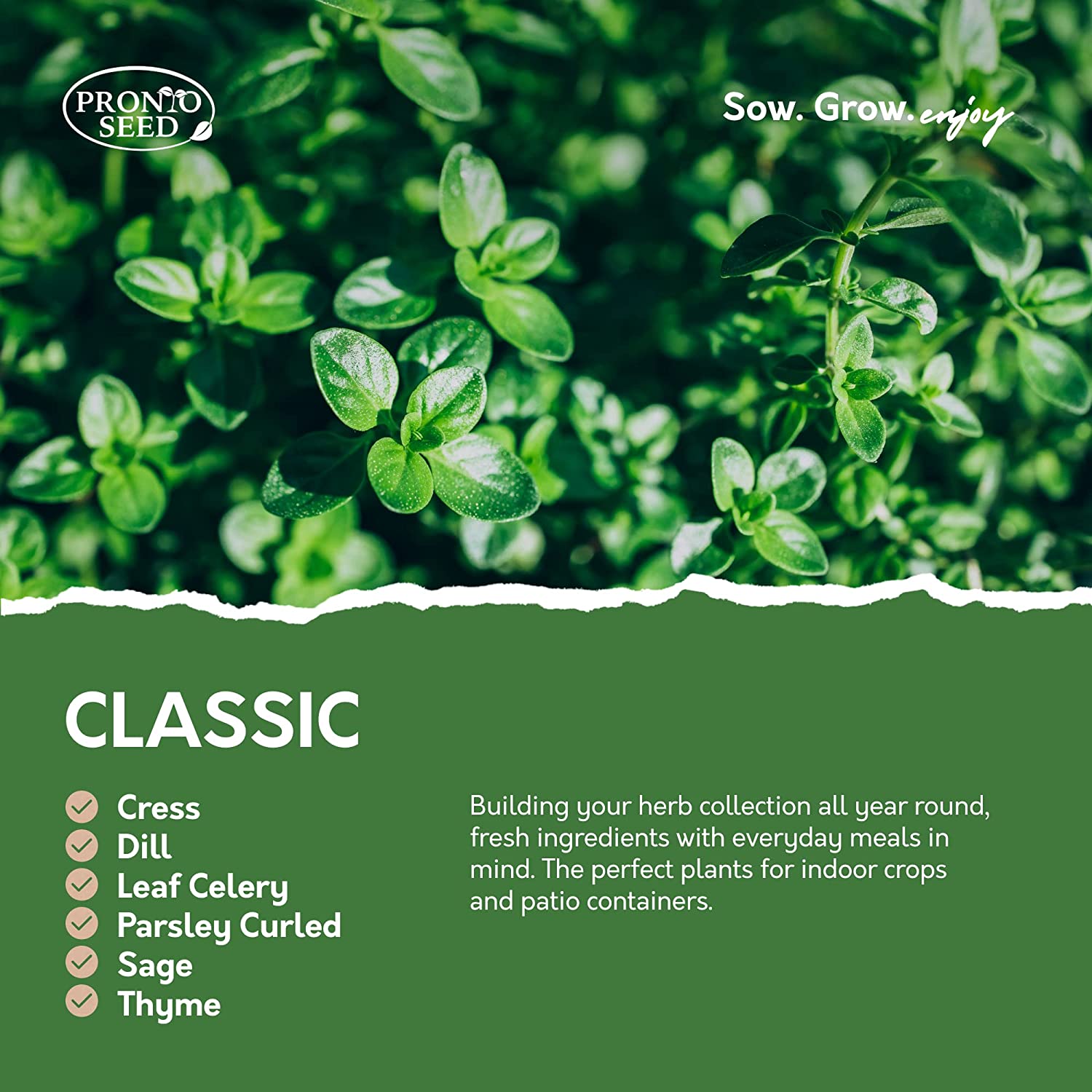 Herb Seeds – 24 Varieties, 2,900+ Seeds Herb Seeds – 24 Varieties, 2,900+ Seeds