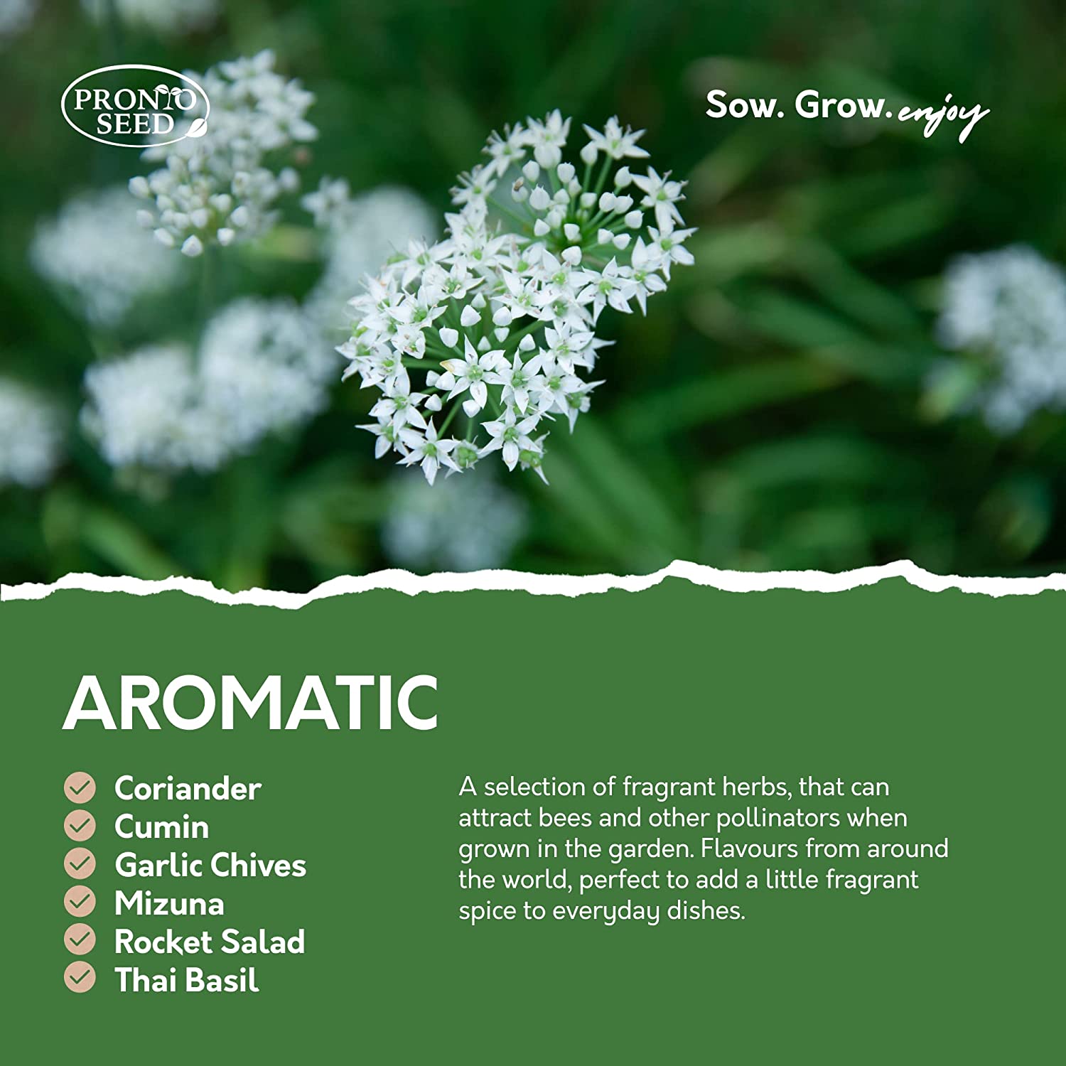 Herb Seeds – 24 Varieties, 2,900+ Seeds Herb Seeds – 24 Varieties, 2,900+ Seeds