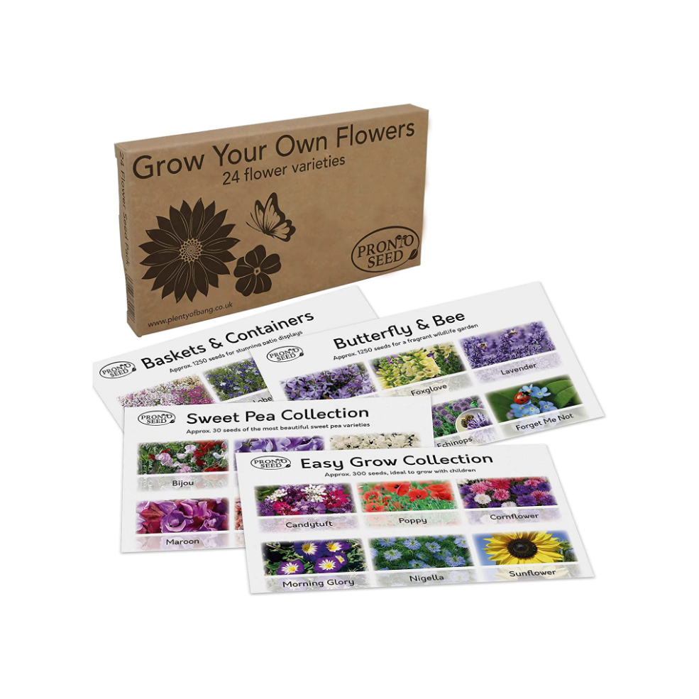 Flower Seed Pack – 24 Varieties Mixed Flower Seeds (Over 2,800 Seeds) pronto seed flower seed bumper pack contents