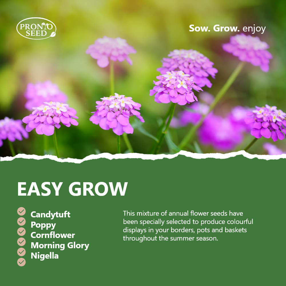 Flower Seed Pack – 24 Varieties Mixed Flower Seeds (Over 2,800 Seeds) Flower Seed Pack – 24 Varieties Mixed Flower Seeds (Over 2,800 Seeds)