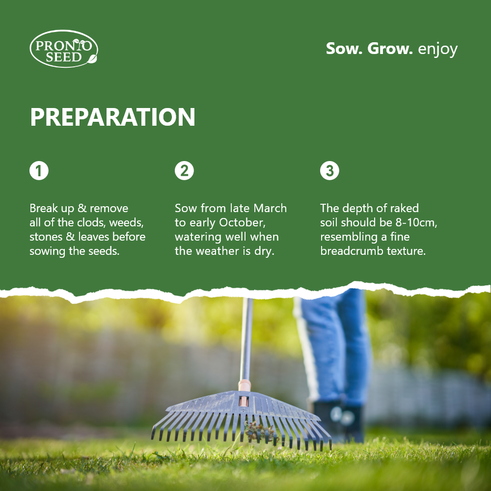 Fast Growing Speedy Grass Seed 1.4kg Covers 84m2 Pronto Seed