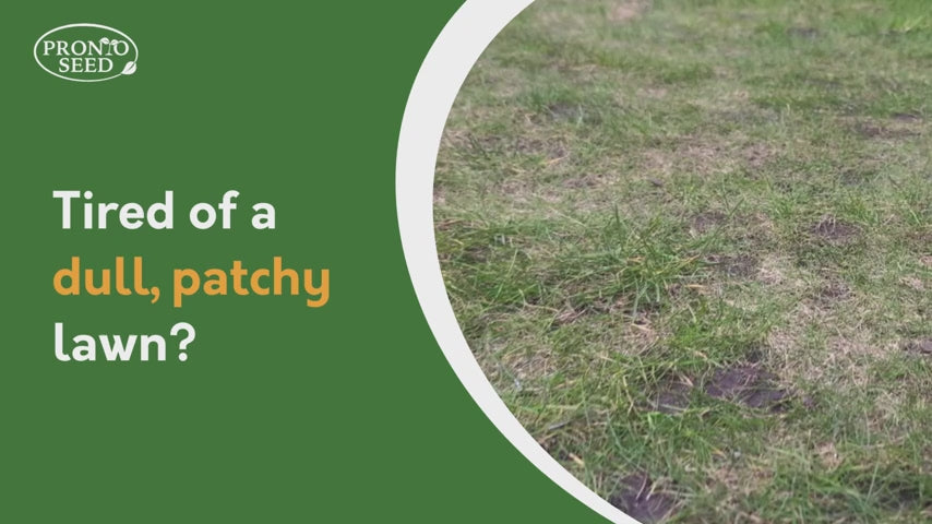 Speedy Seed Grass Seed - Fast Growing Lawn Seed Mix 1.4kg (Covers 84m²) Speedy Seed Grass Seed - Fast Growing Lawn Seed Mix 1.4kg (Covers 84m²)
