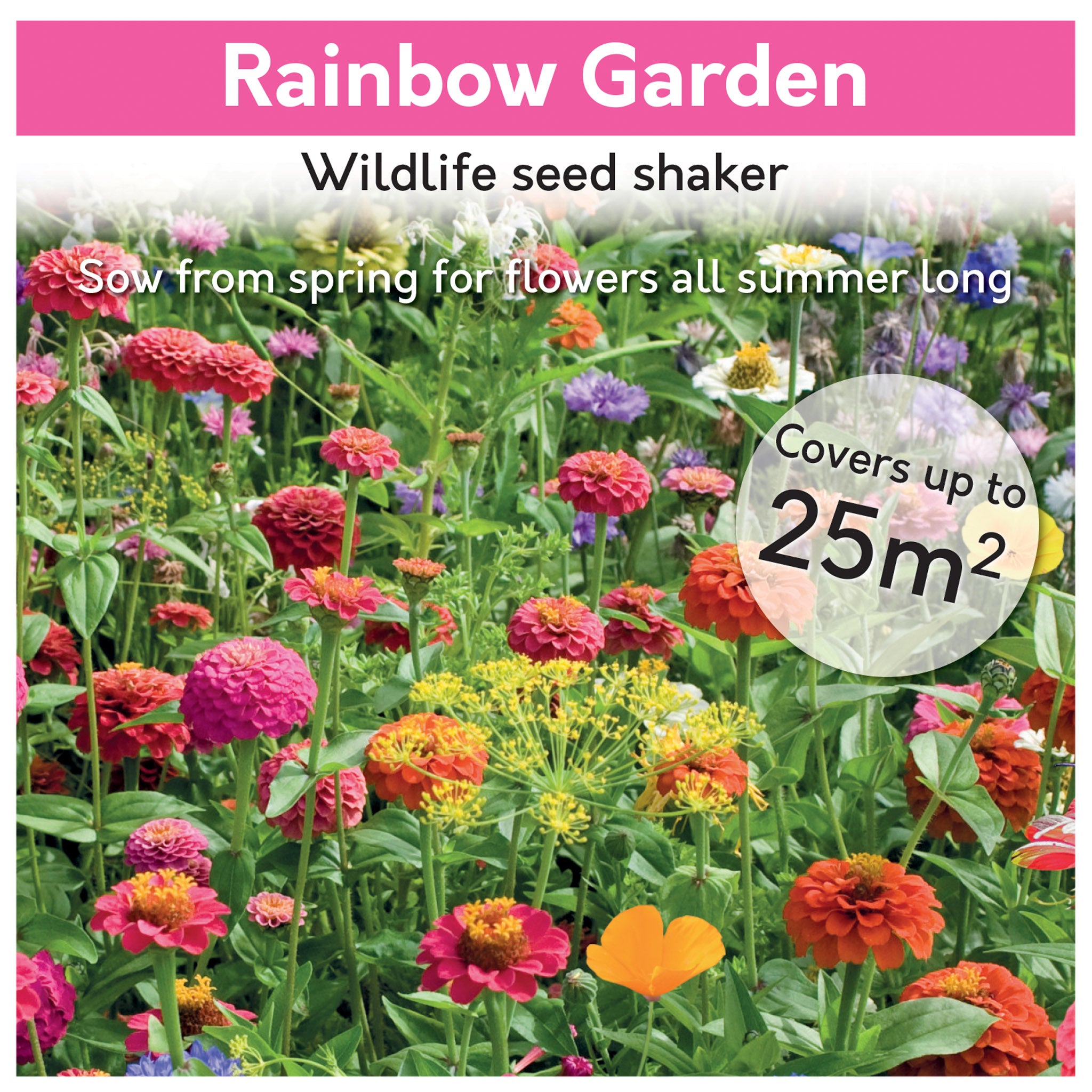 Rainbow Garden Wildflower Seed Shaker – Covers 25m² Rainbow Garden Wildflower Seed Shaker – Covers 25m²