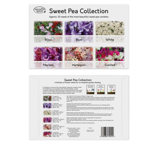Flower Seeds Pack 24 Varieties with Over 3100 Seeds