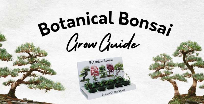 Botanical Bonsai Grow Guide
