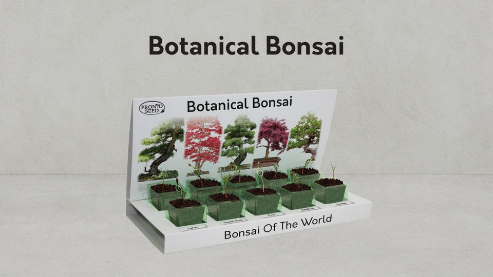 Botanical Bonsai Tree Grow Guide