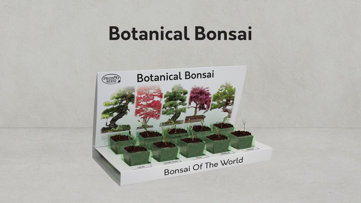 Botanical Bonsai grow kit with seed pots and planting guide