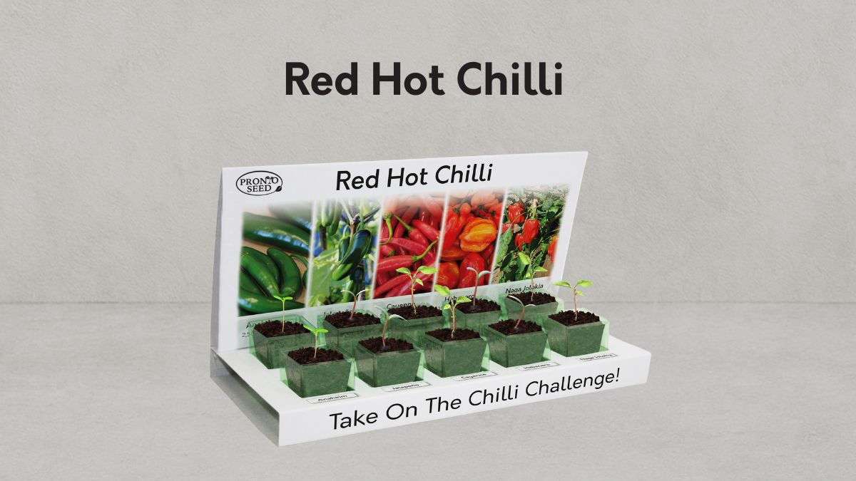 Red Hot Chilli Grow Guide