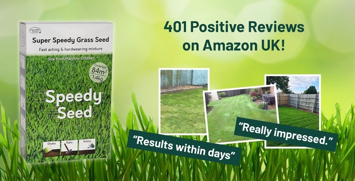 Get your grass growing with Speedy Seed™! Pronto Seed