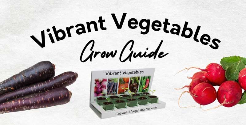 Vibrant Vegetables Grow Guide