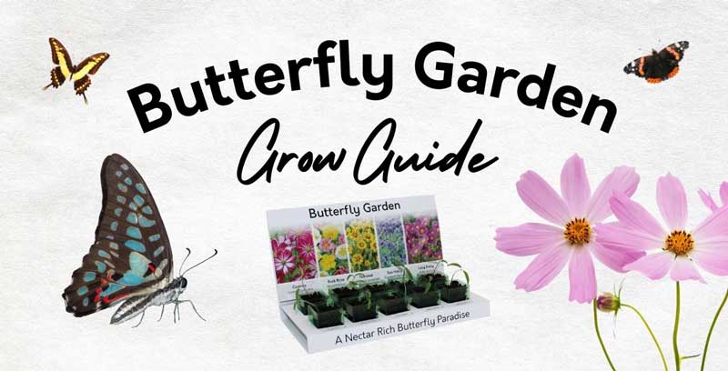 Butterfly Garden Grow Guide