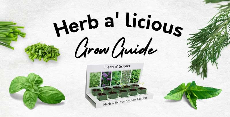 Herb a’ licious Grow Guide