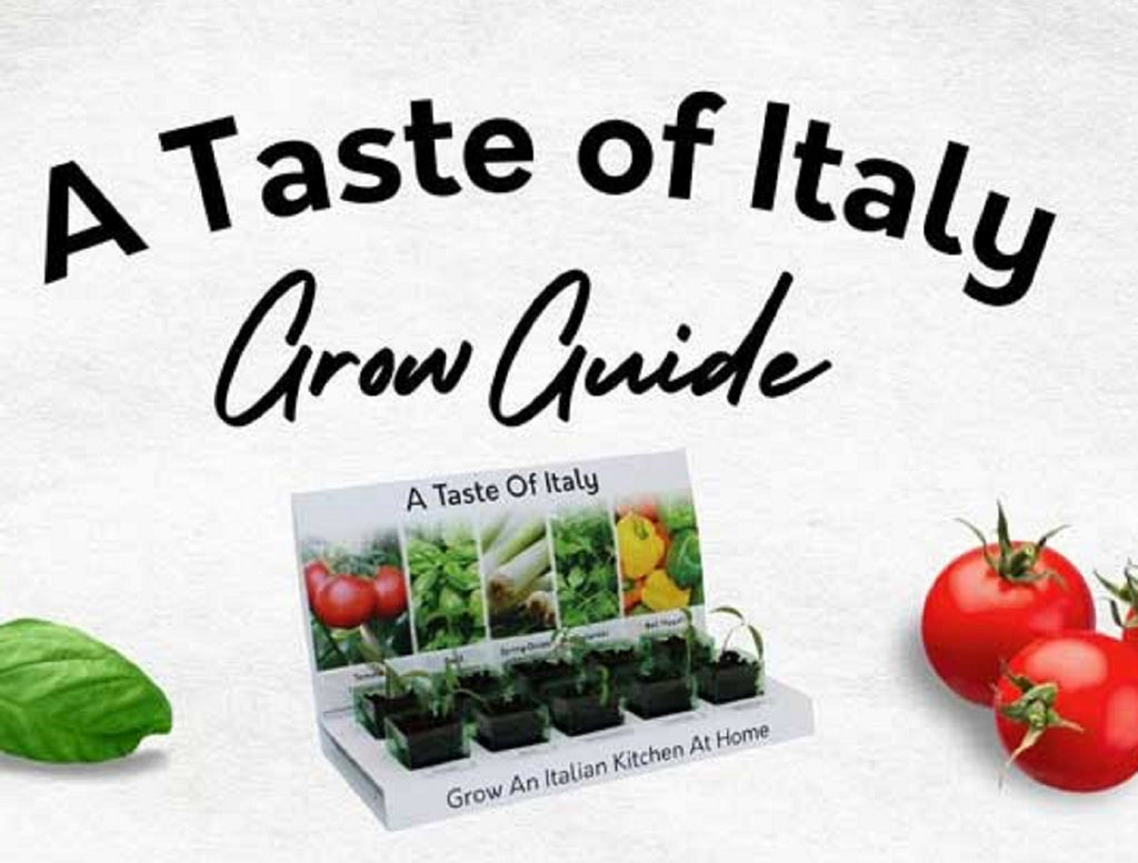 A Taste of Italy Grow Guide