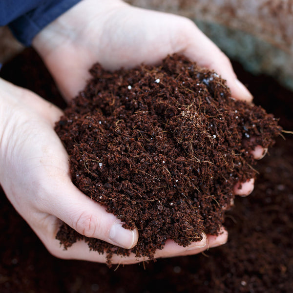 Soil & Growing Media