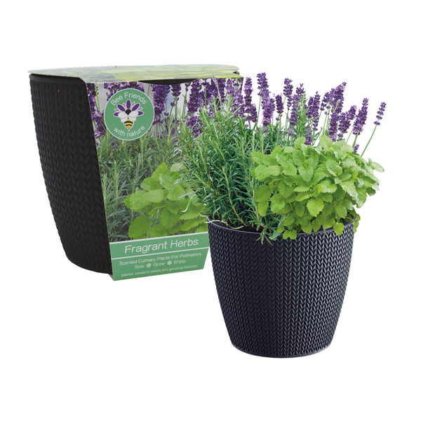 Scented Herbs Growing Set with Black Wheat Textured Pot (Mint, Lavender & Rosemary)