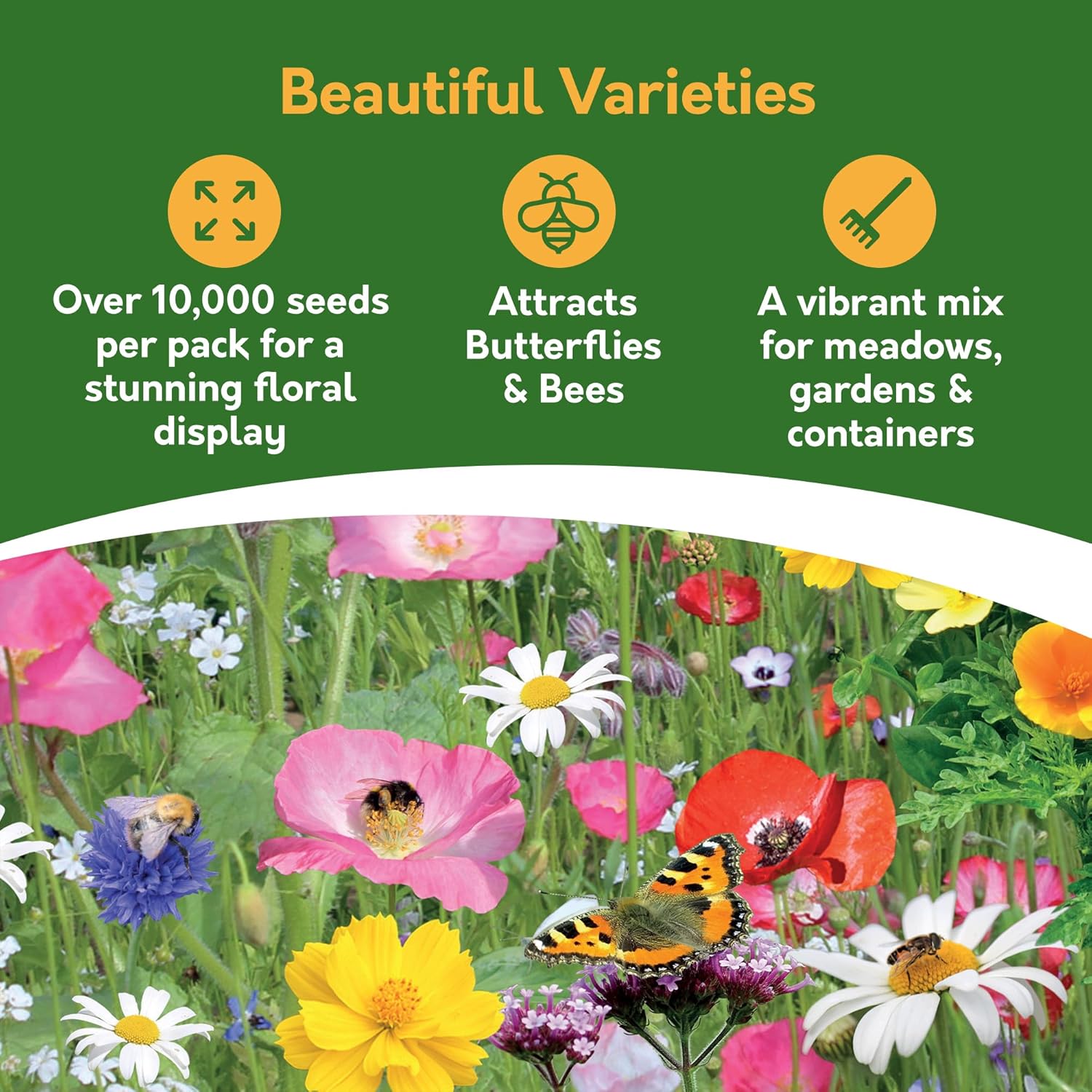 Butterfly & Bee Wildflower Seed Shaker – Covers 25m²