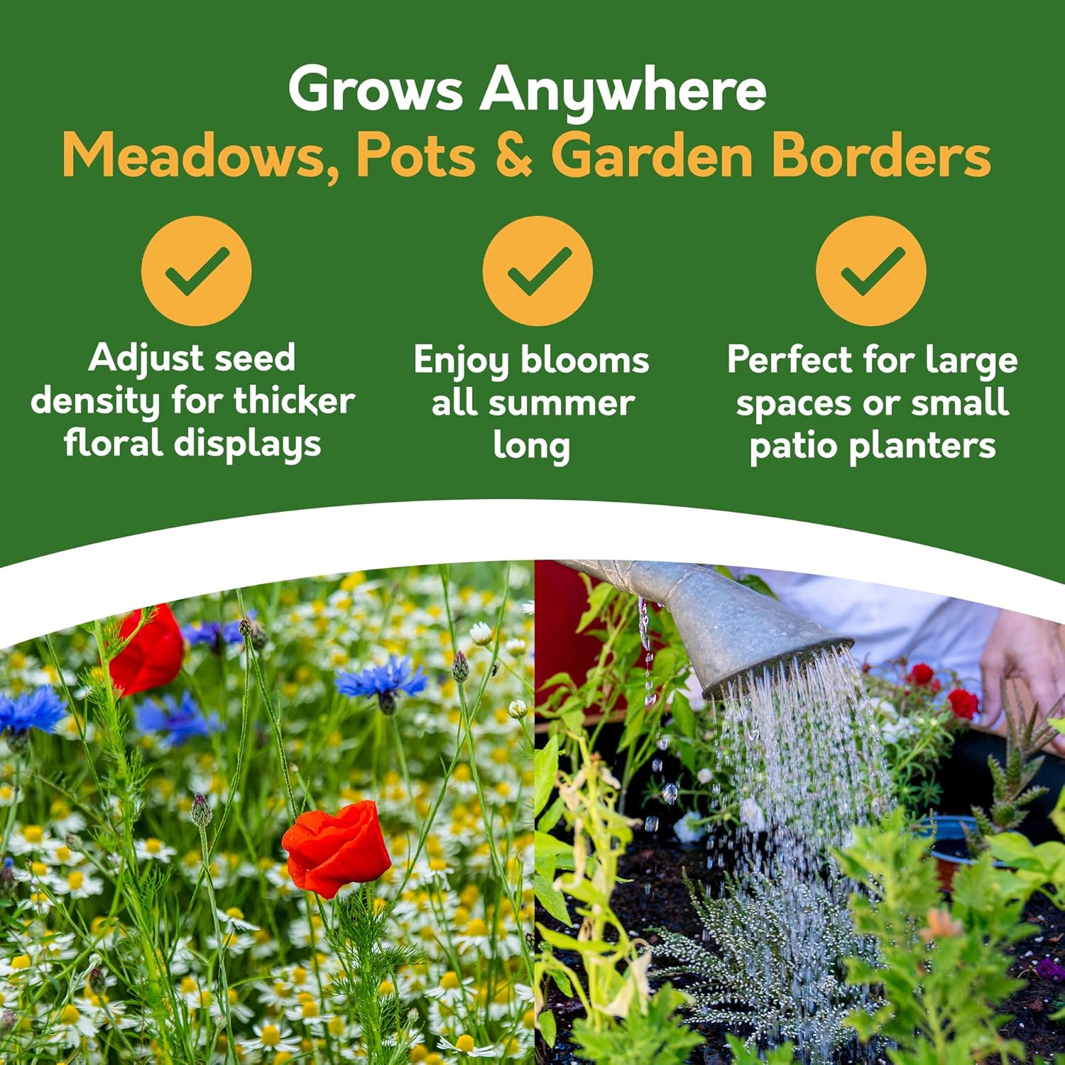 Butterfly & Bee Wildflower Seed Shaker – Covers 25m²
