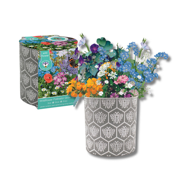 Bee Pattern Ceramic Pot With Pollinator Seed Mix