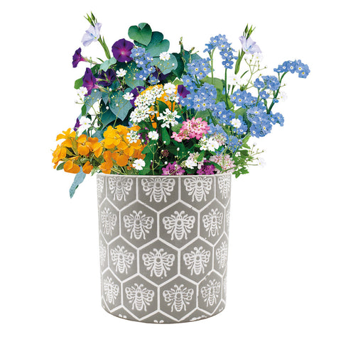 Bee Pattern Ceramic Pot With Pollinator Seed Mix