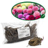 Dahlia Pompon Mixed Colour Tubers Box of 12