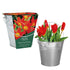 Tulip Galvanised Bulb Bucket Gift Set