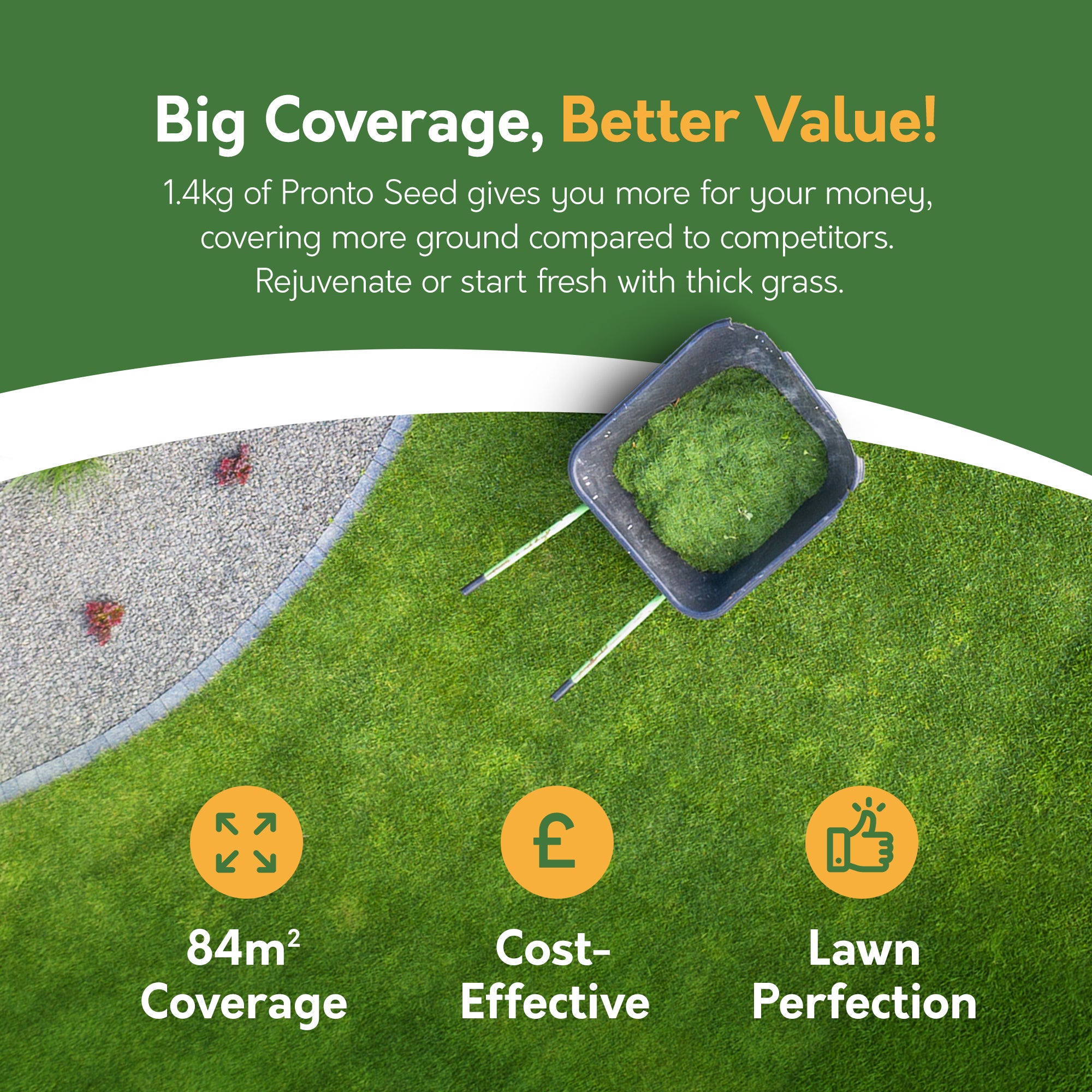 Speedy Seed – Fast Growing Grass Seed 400g (Covers 24m²)