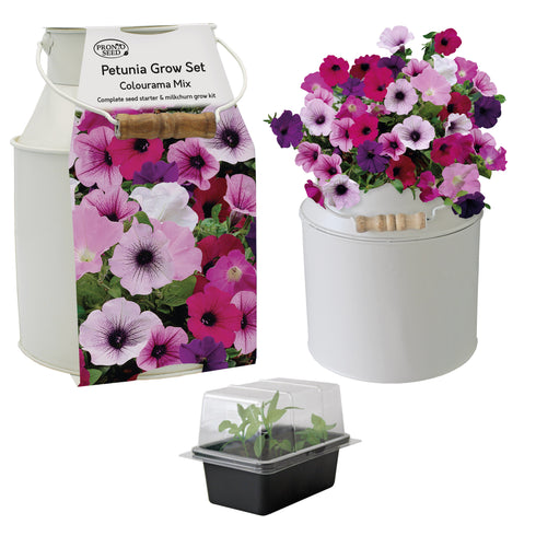 Petunia Metal Milk Churn Planter Gift Set