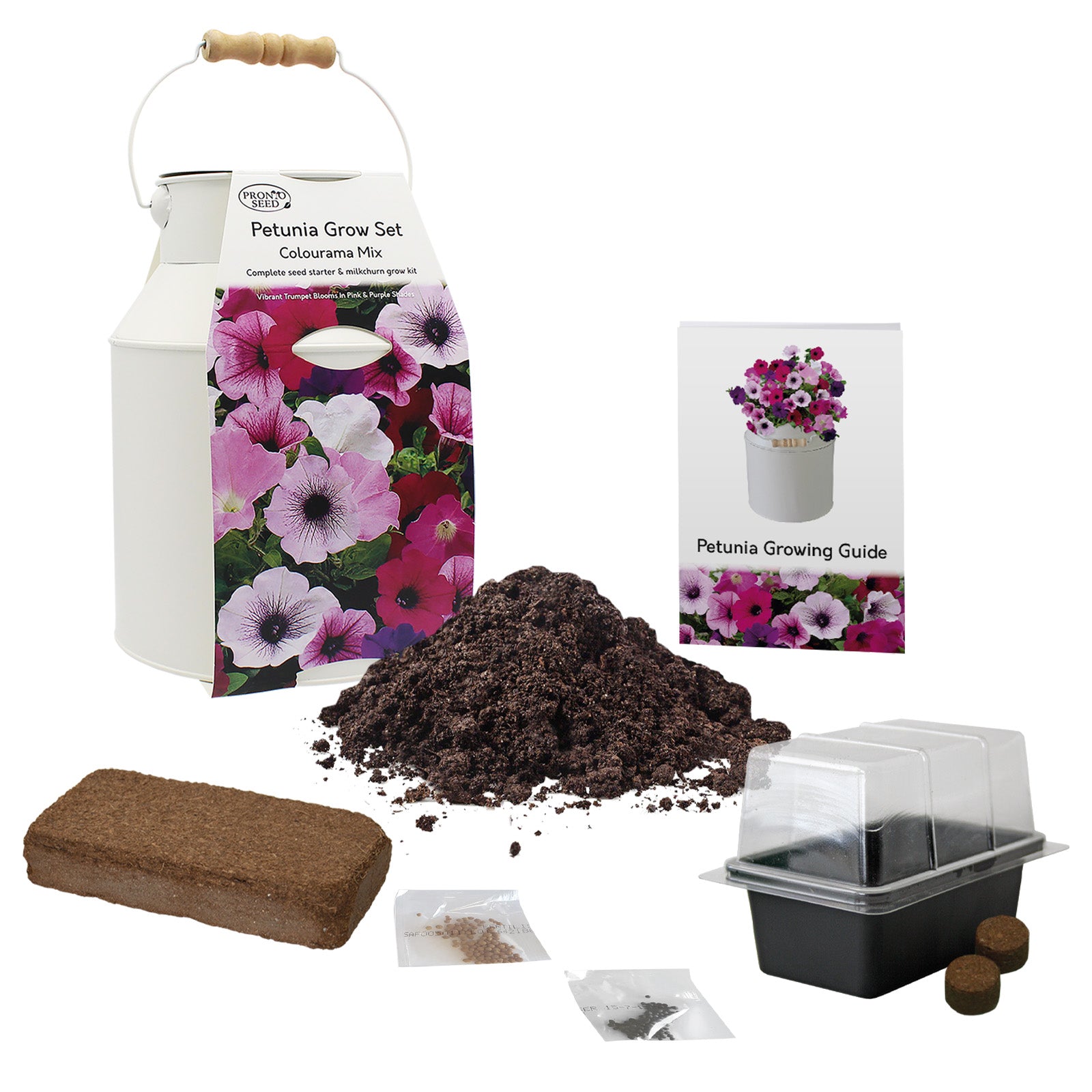 Petunia Grow Kit in Milk Churn – Flower Gift Set