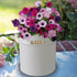 Petunia Metal Milk Churn Planter Gift Set