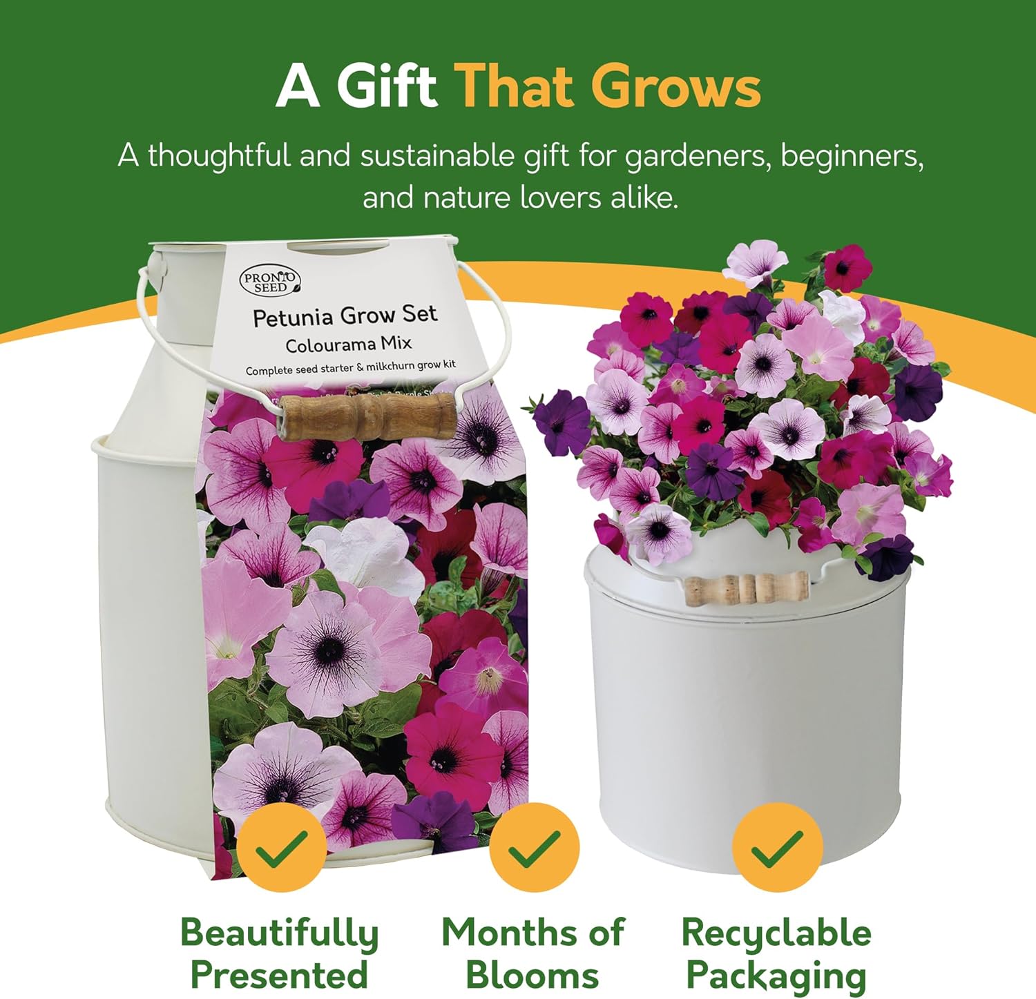 Petunia Grow Kit in Milk Churn – Flower Gift Set