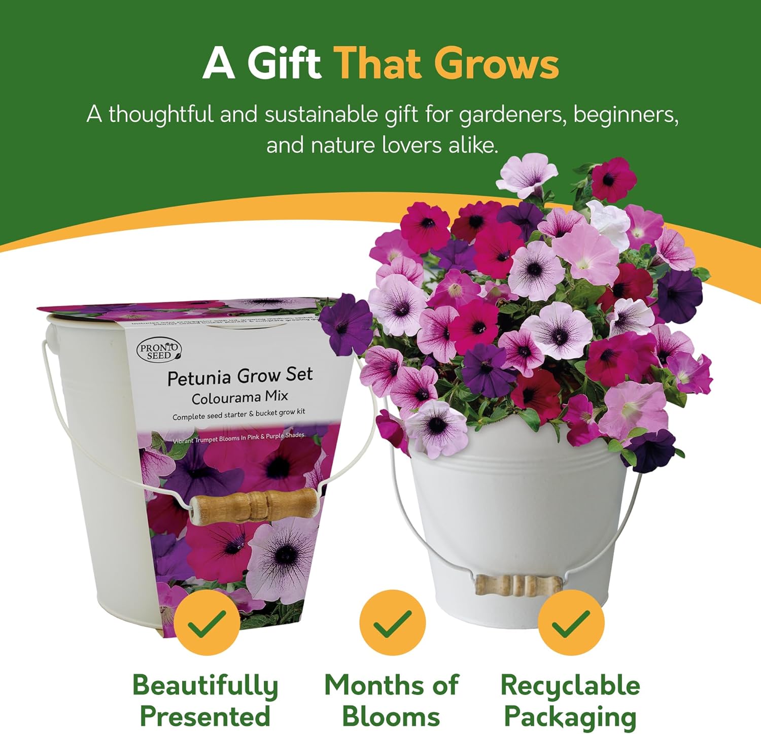 Petunia grow set with flowers and packaging on a green background