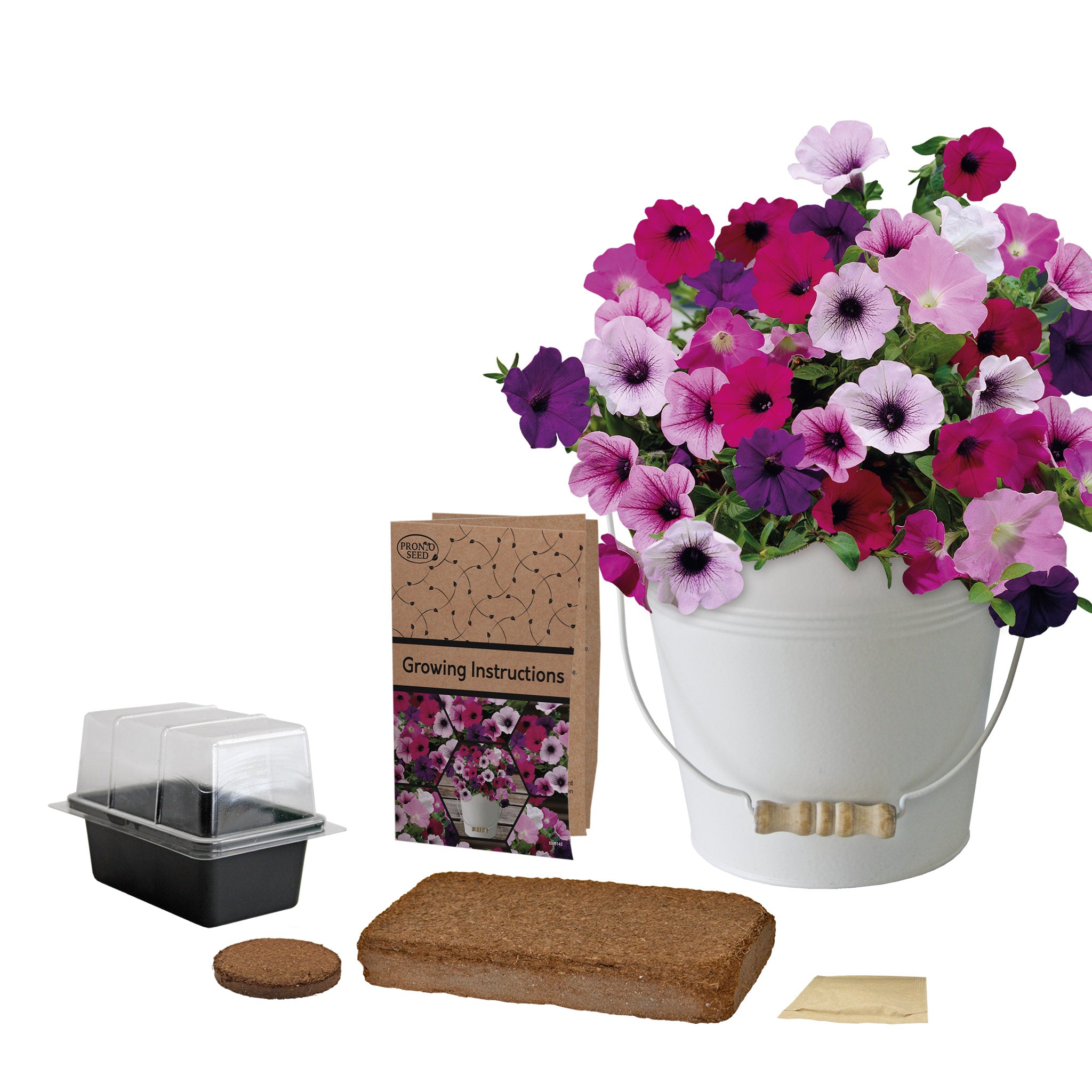 planting petunia seeds in pots Petunia Grow Kit in Cream Bucket – Flower Gift Set
