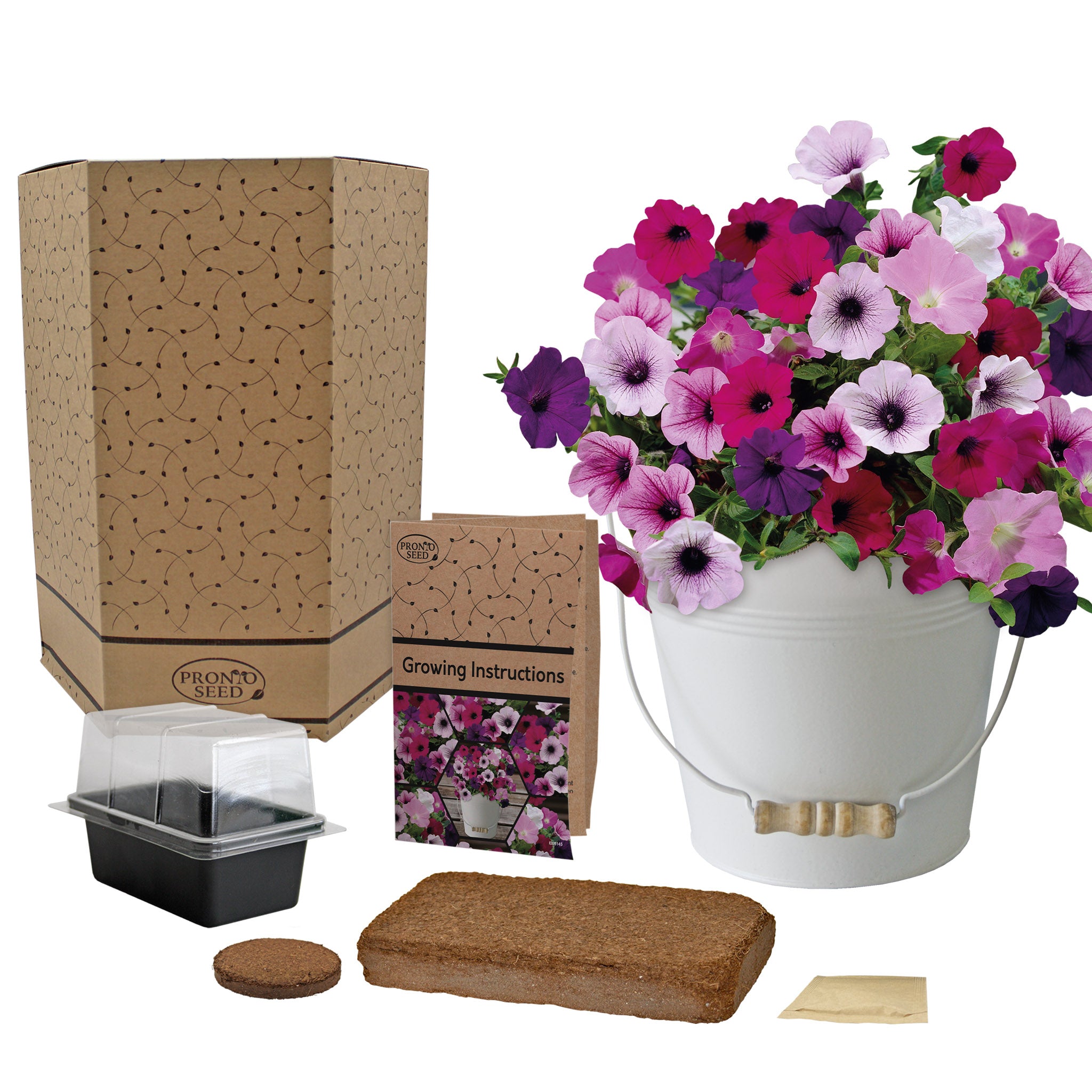 Petunia Grow Kit in Cream Bucket – Flower Gift Set