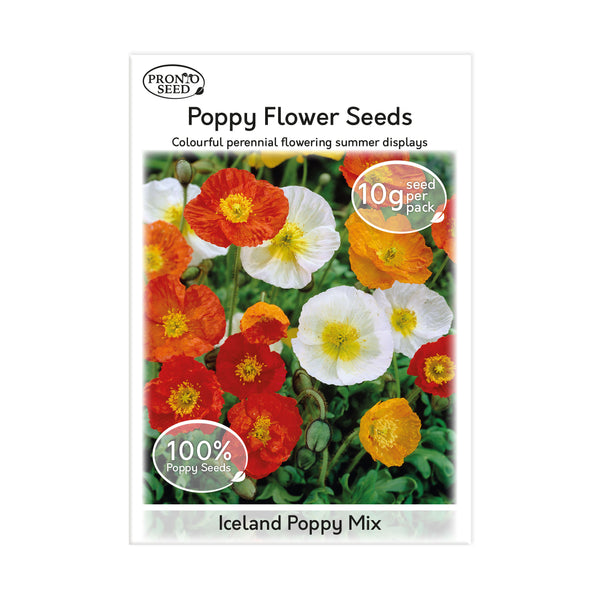 Iceland Poppy Seed Pack – 10g | Colourful Perennial Wildflower
