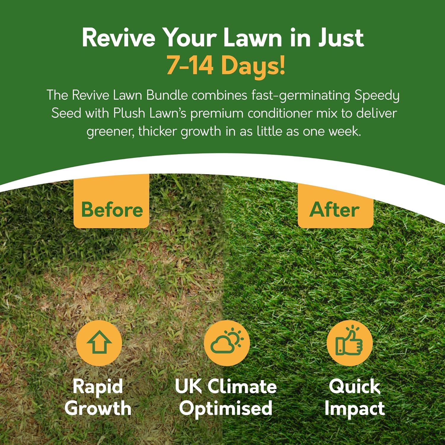 Lawn Revive Bundle 2.6kg – Speedy Seed & Plush Lawn (Covers up to 54m²)