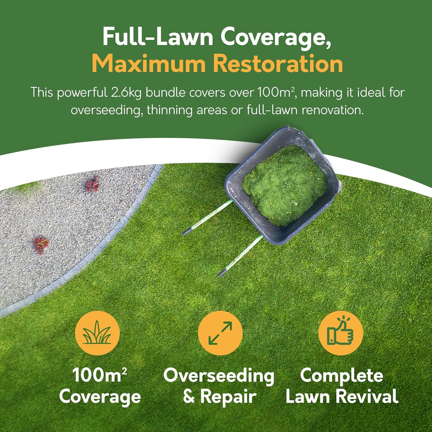 Lawn Revive Bundle 2.6kg – Speedy Seed & Plush Lawn (Covers up to 54m²)