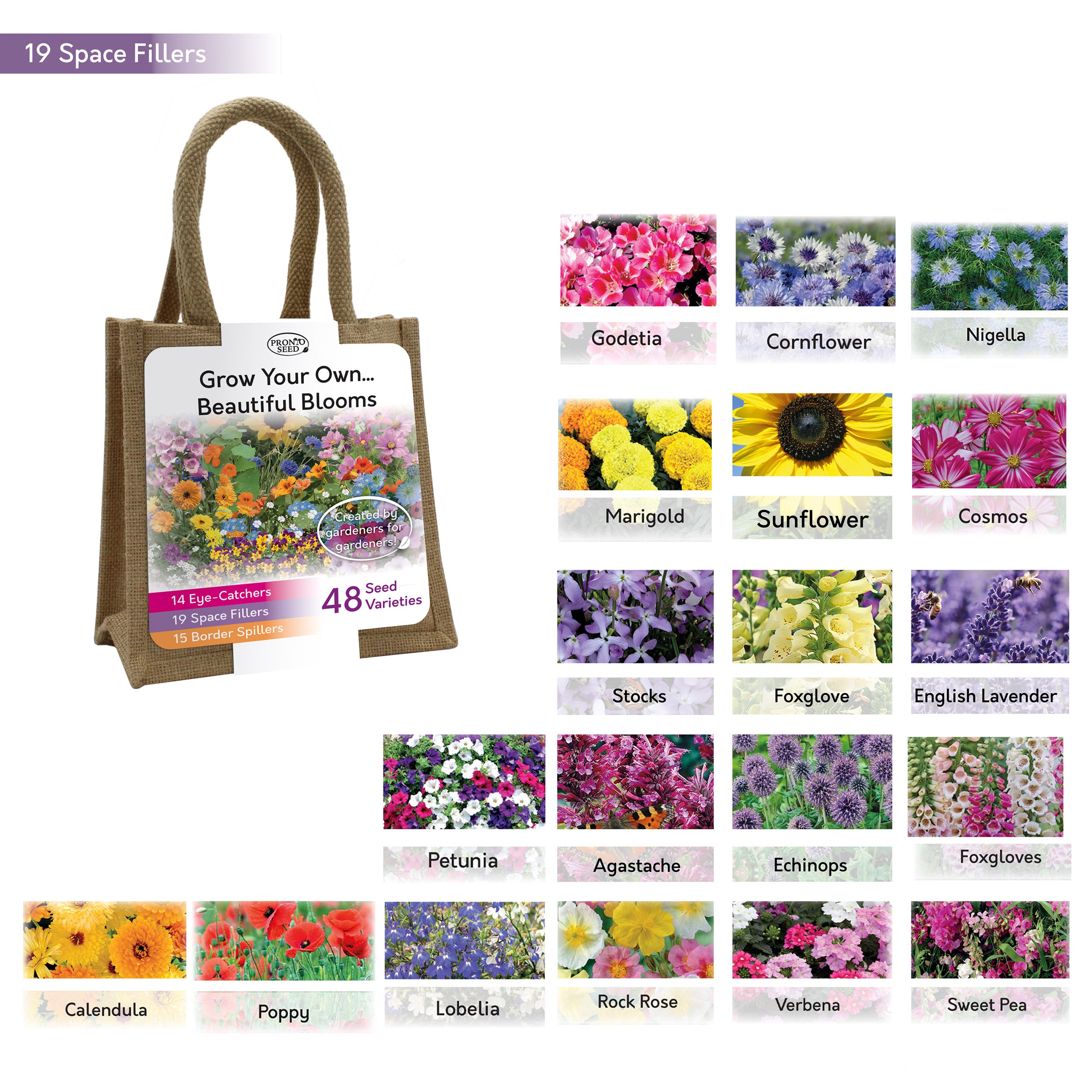 Beautiful Blooms Flower Seed Variety Gift Bag – 48 Varieties