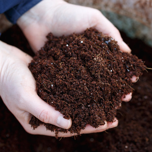Coir Potting Soil Discs – 2.6L Peat-Free, Eco-Friendly Grow Medium (2 x 10cm Discs)